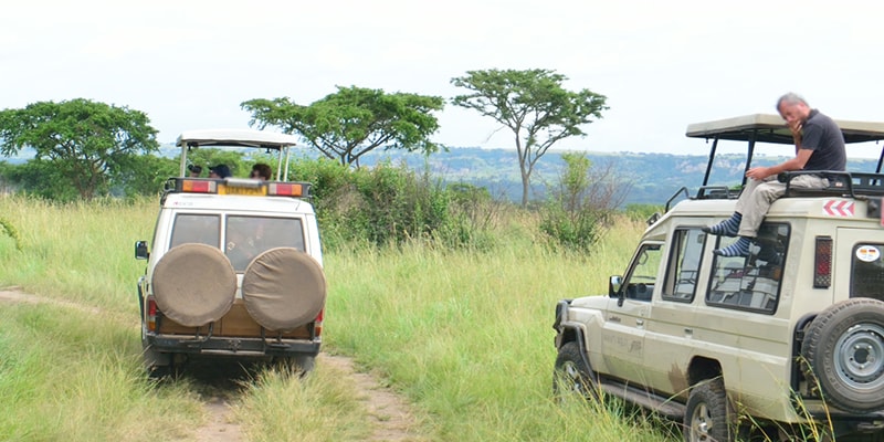 Rwanda Safari Holidays and Tour Packages