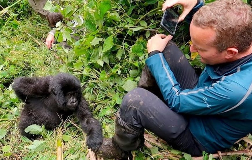 5 Days Gorilla Trekking Rwanda