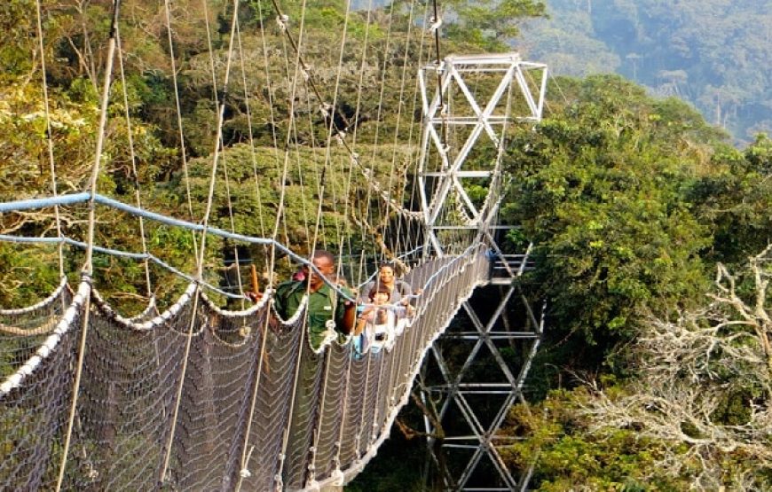 2-Day Tour, Nyungwe National Park