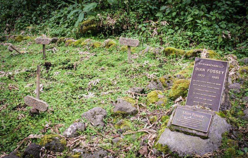 DIAN FOSSEY TOMB HIKE