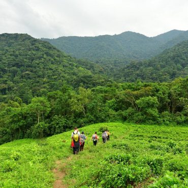 Bwindi Impenetrable National Park