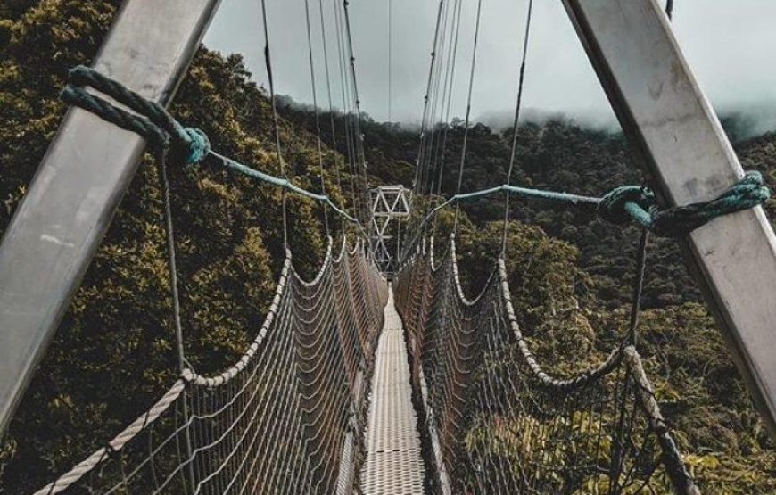 Canopy Walk Trail Hike