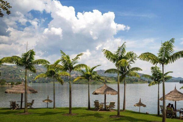 Lake Kivu Day Experience