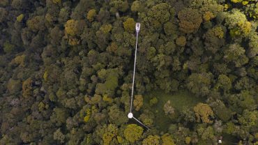 Nyungwe Forest Canopy Walk Experience