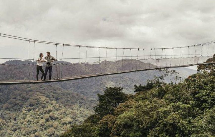 Canopy Walk Trail Hike