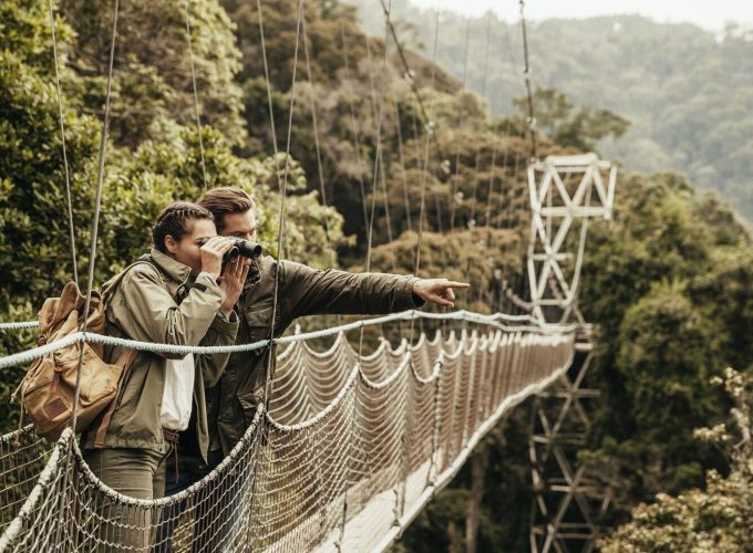 Canopy Walk Trail Hike