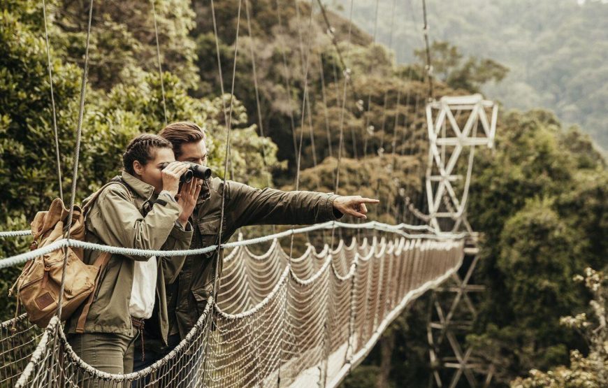 Canopy Walk Trail Hike