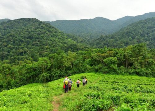 3 Days Uganda Mountain Gorilla Trekking