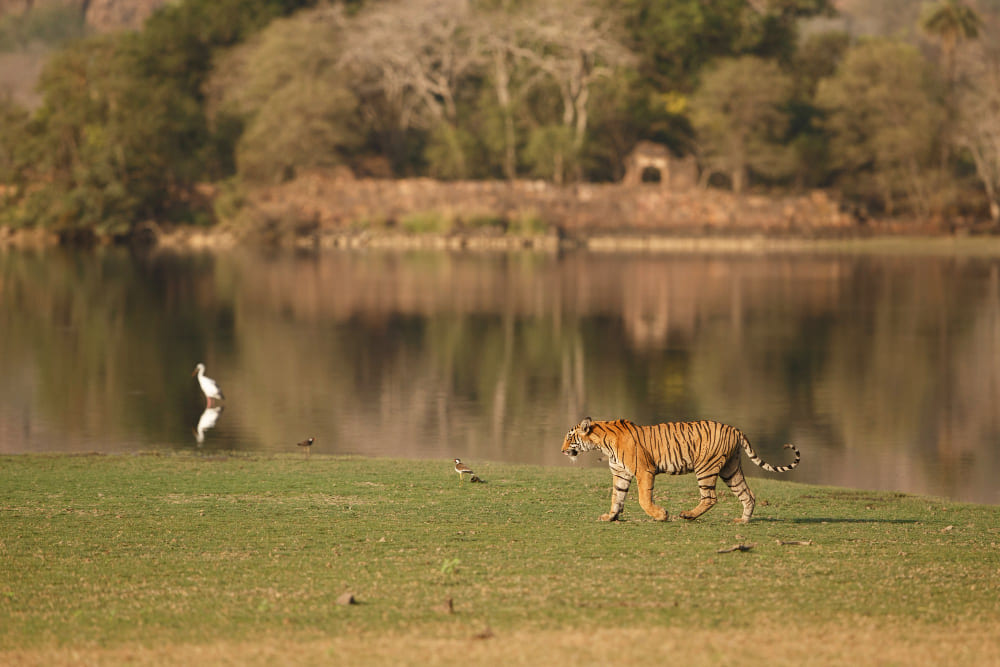 Mgahinga National Park