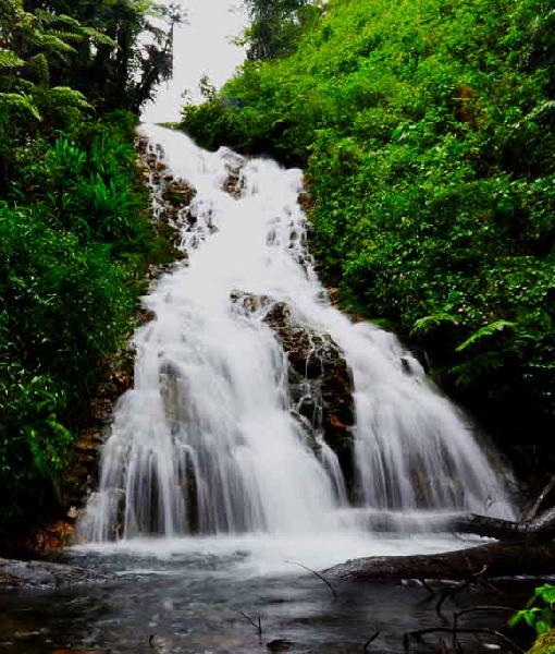 Bwindi Impenetrable National Park