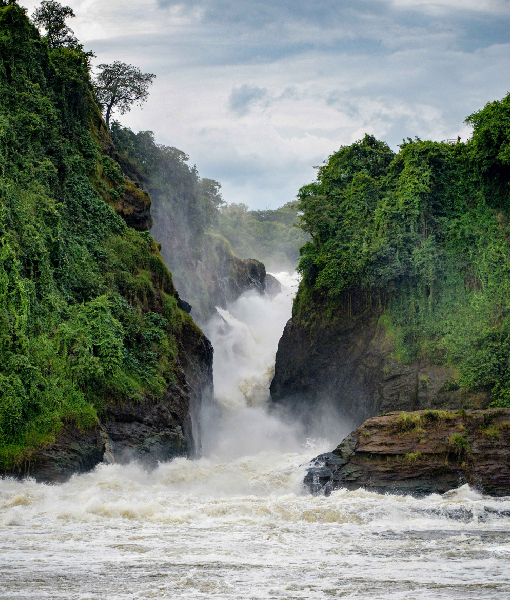 Murchison Falls National Park 