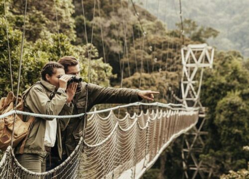Canopy Walk Trail Hike
