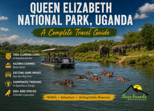 Queen Elizabeth National Park Uganda: A Complete Travel Guide