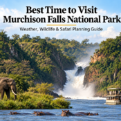 Best Time to Visit Murchison Falls National Park