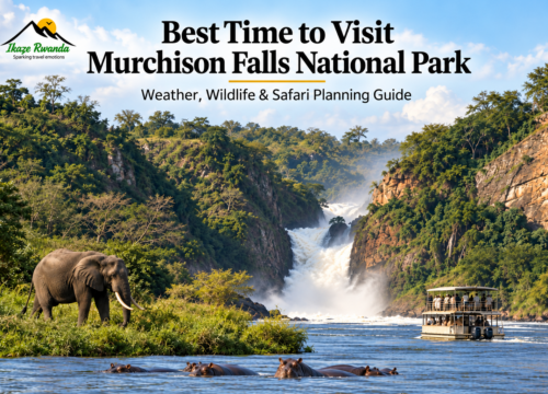Best Time to Visit Murchison Falls National Park: Weather, Wildlife & Safari Planning Guide